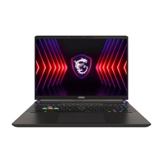 Notebook|MSI|Vector 16 HX A14VGG|CPU  Core i9|i9-14900HX|2200 MHz|16"|2560x1600|RAM 16GB|DDR5|5600 MHz|SSD 1TB|NVIDIA GeForce RTX 4070|8GB|ENG|Card Reader SD Express|Windows 11 Home|2.7 kg|VECTOR16HXA14VGG-258NL