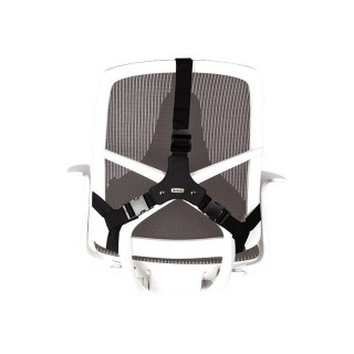 Professional back support - Professional Series | Depth 55 mm | Height 365 mm | High-density foam | Width 375 mm
