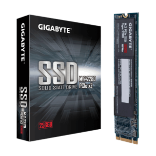 Gigabyte | GP-GSM2NE8256GNTD | 256 GB | SSD interface M.2 NVME | Read speed 1200 MB/s | Write speed 800 MB/s