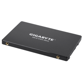 Gigabyte | GP-GSTFS31256GTND | 256 GB | SSD interface SATA | Read speed 520 MB/s | Write speed 500 MB/s