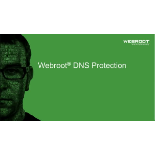 Webroot | DNS Protection with GSM Console | 1 year(s) | License quantity 10-99 user(s)