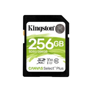 Kingston Canvas Select Plus - flash memory card - 256 GB - SDXC UHS-I | Kingston