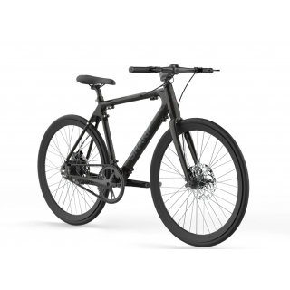 Sharp Black | 250 W | Hybrid E-Bike | 24 month(s) | 21 "