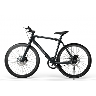 Sharp Hybrid E-Bike | 250 W | 21 " | 24 month(s) | Black