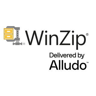 WinZip 28 Standard Single-User ESD