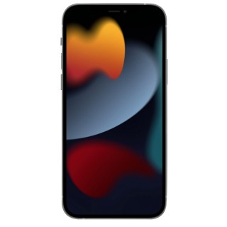 Case PURO for iPhone 13 Pro Max, transparent / IPC136703NUDETR 