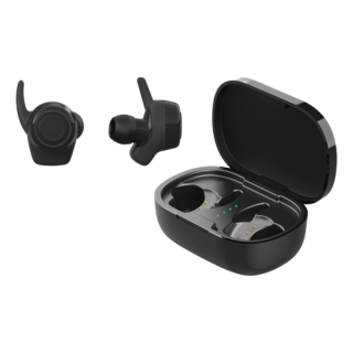 Earphones STREETZ Wireless stay-in-ear headphones with charging case, sweat resistant, BT 5, TWS, black / TWS-112