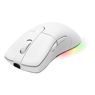 Mouse DELTACO GAMING WHITE LINE wireless, 16.000 DPI, RGB, USB-C/USB-A, white / GAM-107-W