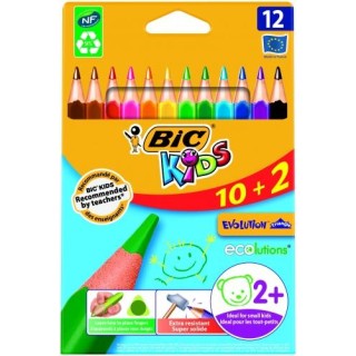 BIC Colored pencils EVOLUTION TRIANGLE 12 colours 8871462