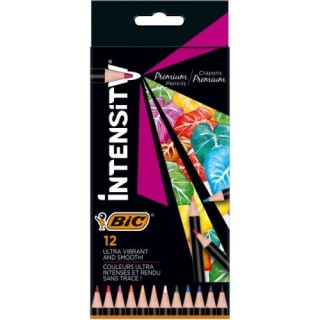 BIC Coloring pencils Intensity 12 colours 951844