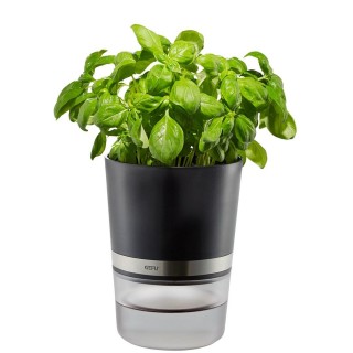 GEFU BOTANICO Herb pot Freestanding Plastic, Stainless steel Black