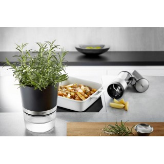 GEFU BOTANICO Herb pot Freestanding Plastic, Stainless steel Black