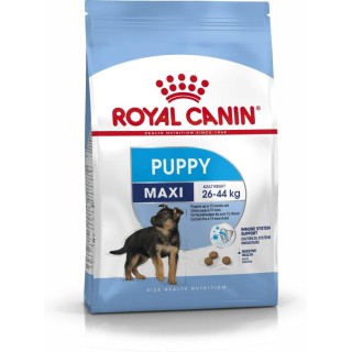 Royal Canin SHN Maxi Puppy - dry puppy food - 4kg