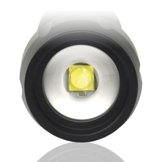 LED flashlight  everActive FL-300+