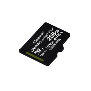Kingston Technology 256GB micSDXC Canvas Select Plus 100R A1 C10 Single Pack w/o ADP