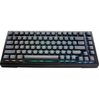 Ducky Tinker 75 Gaming Keyboard, RGB, black - MX-Brown (ANSI)