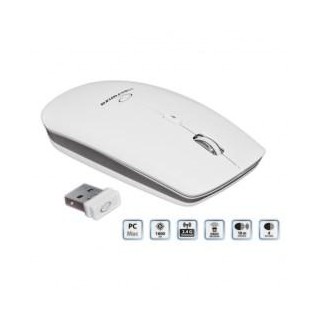 Esperanza EM120W mouse RF Wireless Optical 2400 DPI