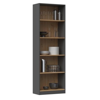 Topeshop R60 ANT/ART office bookcase