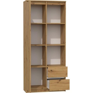 Topeshop RS-80 BILY ART office bookcase