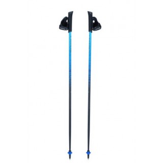 Nordic walking poles Viking Pro-Trainer blue 110