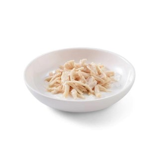 SCHESIR in jelly Chicken fillet - wet cat food - 85 g