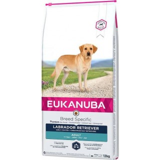 EUKANUBA Labrador Retriever Adult - dry dog food - 12 kg