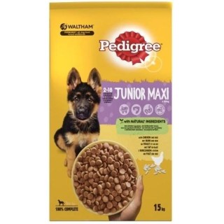 Pedigree Junior Maxi  big breeds chicken 15kg