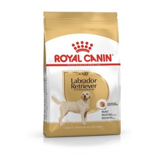 ROYAL CANIN Labrador Adult - dry dog food - 12 kg