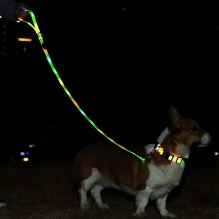 DOGGY VILLAGE Signal leash MT7119 black - LED dog leash - 1.2 m
