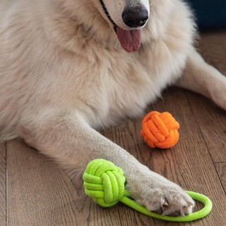 DINGO Energy ball with handle - dog toy - 6 x 22 cm