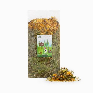 FACTORYHERBS Co w trawie piszczy Mixture of grasses and herb - treat for rodents and rabbits - 500g