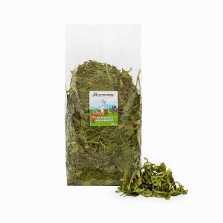FACTORYHERBS Dandelion leaf - treat for rodents and rabbits - 300g