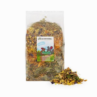 FACTORYHERBS Nie byle badyle - food for chinchillas and degus - 1kg