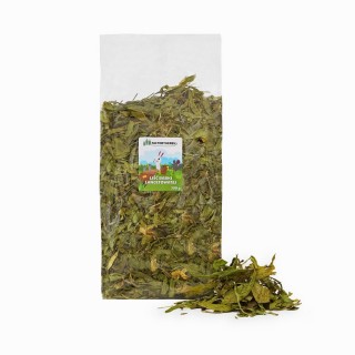 FACTORYHERBS Plantain leaf - treat for rodents and rabbits - 300g