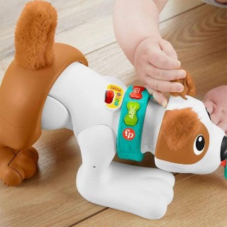 FISHER PRICE LL EDUCATIONAL DOG "CRAWL BEHIND ME" HHH15