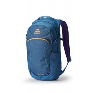 Multipurpose Backpack - Gregory Nano 18 Icon Teal