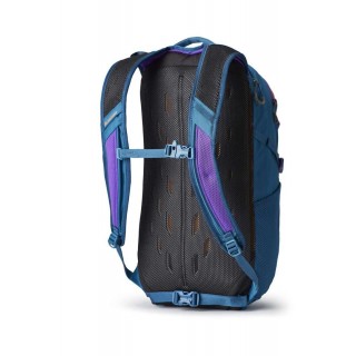 Multipurpose Backpack - Gregory Nano 20 Icon Teal