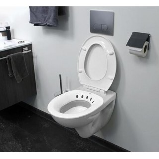 Portable and collapsible toilet bidet