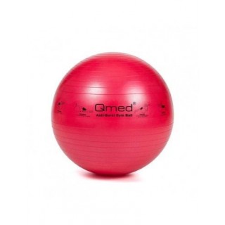 ABS rehabilitation ball with pump 55cm