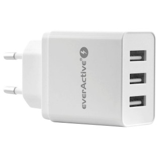 Socket charger - power supply unit USB 5V everActive SC-300 in a package of 1 pc.