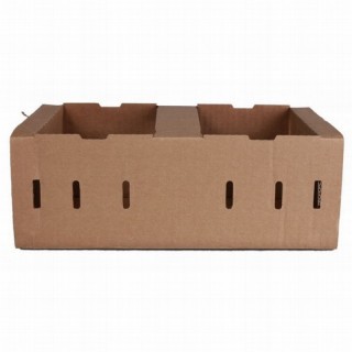 Cardboard berry boxes  235 x 147 x 96mm / B50RKK