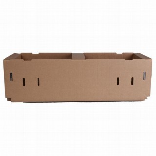 Cardboard berry boxes 390 x 130 x 125mm / B50RKK