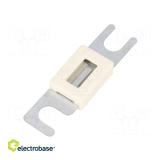 Fuse: fuse; 300A; 48VDC; automotive,strip fuse