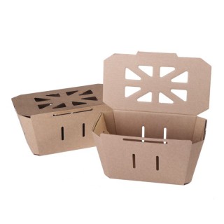 Cardboard berry boxes with lid 170x98x100mm, 750ml, 14E