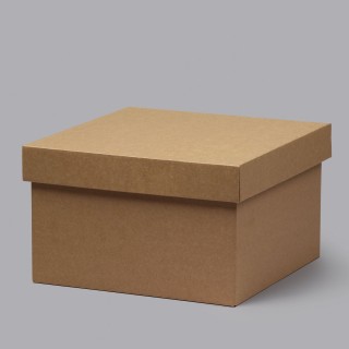 Corrugated cardboard box with lids 250x250x150mm 14e 100 pieces