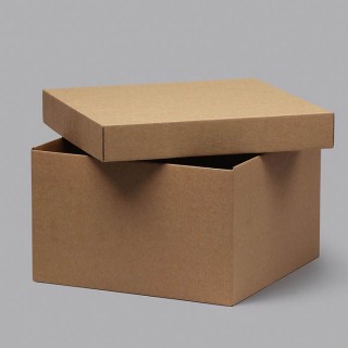 Corrugated cardboard box with lids 250x250x150mm 14e 100 pieces
