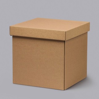 Corrugated cardboard box with lid 250x250x250mm, 14e 100 pcs/