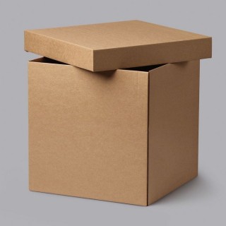 Гофрированная картонная коробка с крышкой 250x250x250mm, 14e 100 ПК/