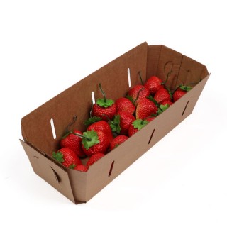 Коробки ягодные картонные без крышки 278х97х80мм, 1000мл, 14Е