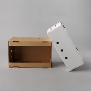 Corrugated cardboard berry box white 290x180x110 (2kg), 16b